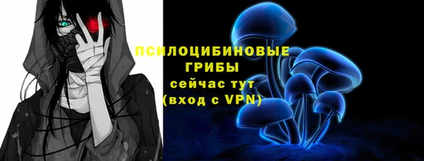 тгк Беломорск