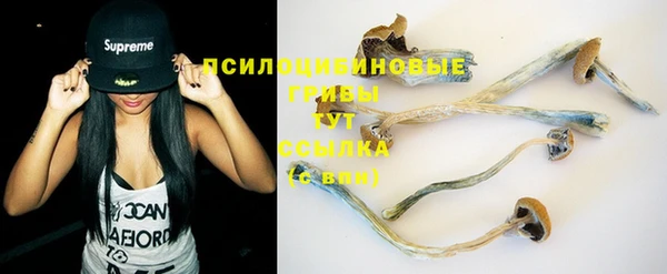 винт Богданович