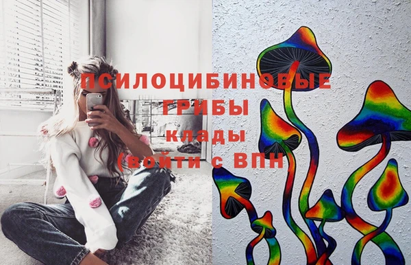 тгк Беломорск