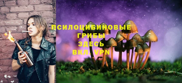тгк Беломорск