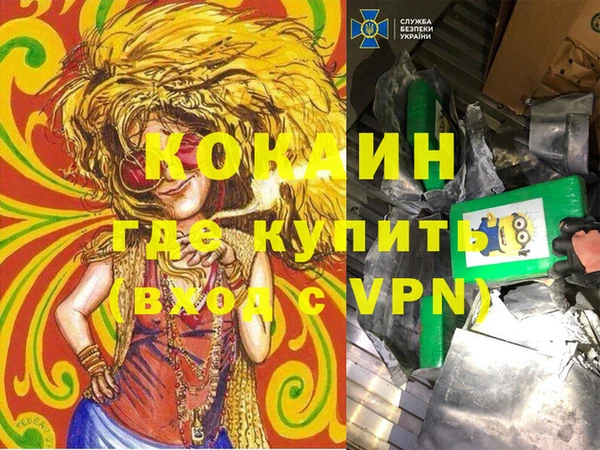 твердый Богородицк