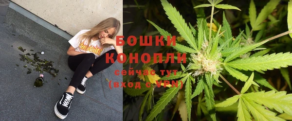 винт Богданович