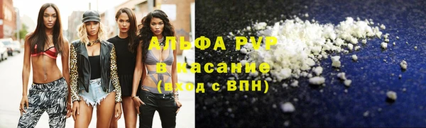 трава Белокуриха