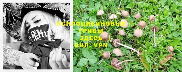 ALPHA PVP Богородск